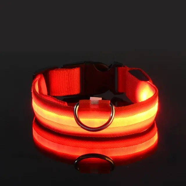 LED Glowing Safety Dog Collar - USB Rechargeable