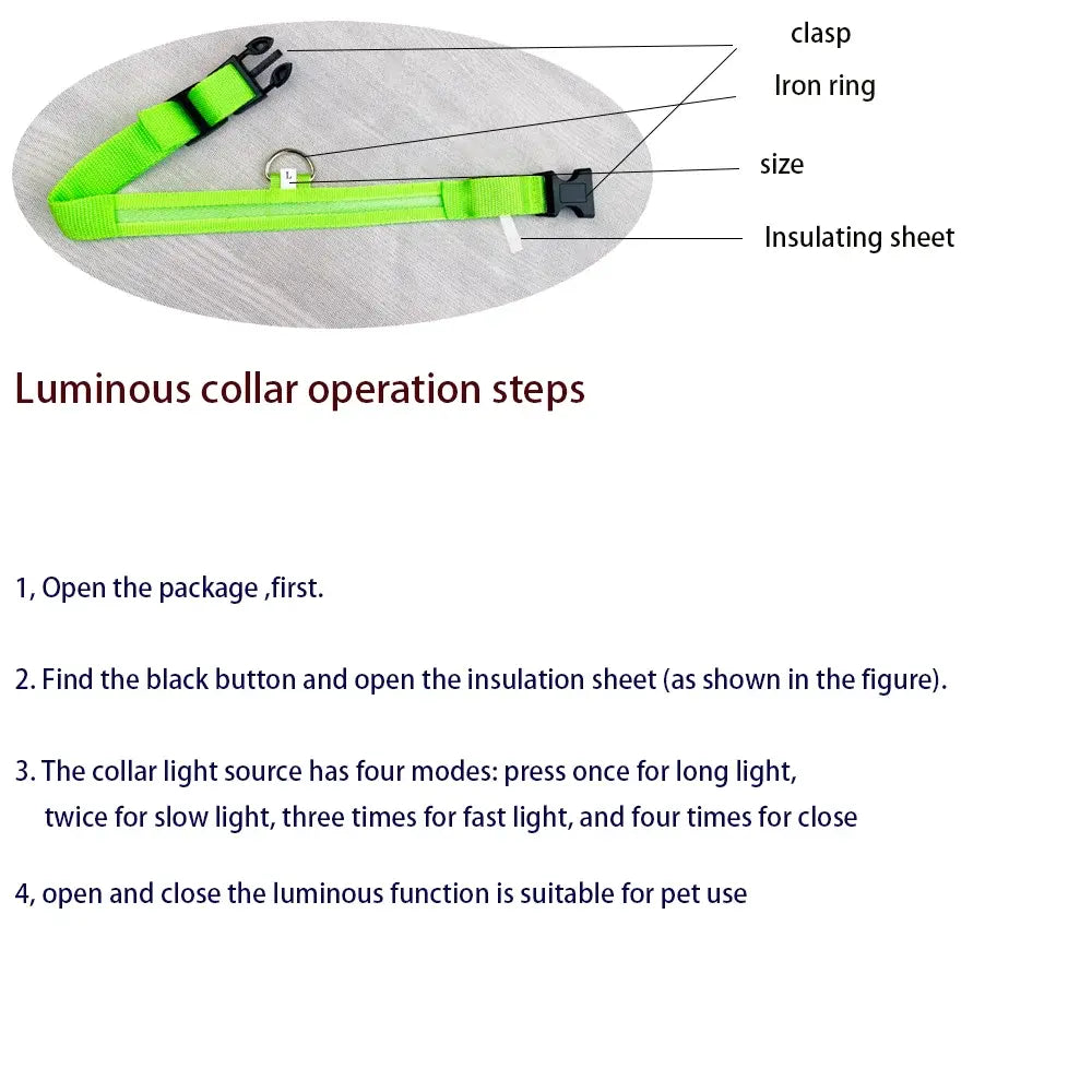 LED Glowing Safety Dog Collar - USB Rechargeable