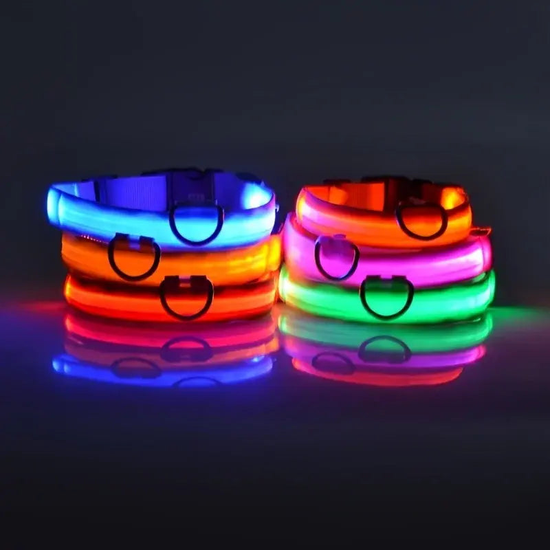 LED Glowing Safety Dog Collar - USB Rechargeable