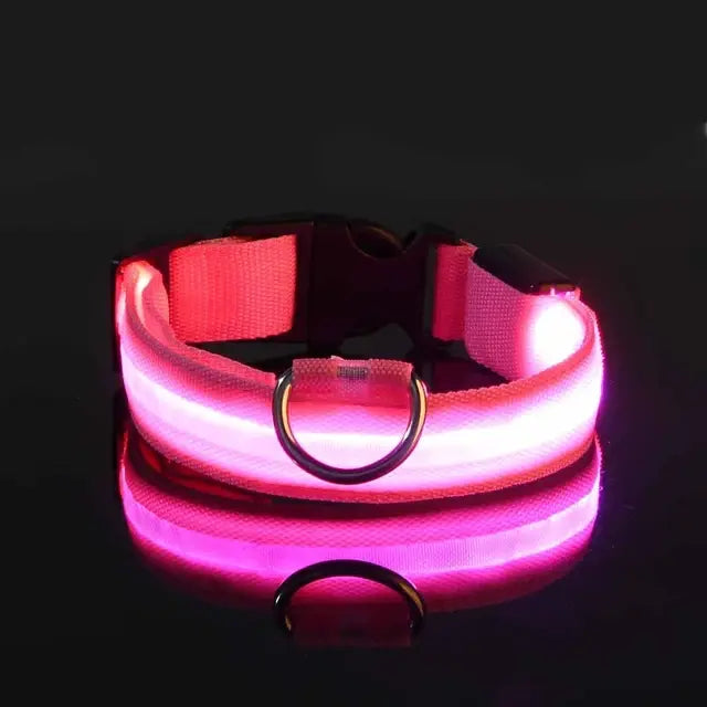 LED Glowing Safety Dog Collar - USB Rechargeable