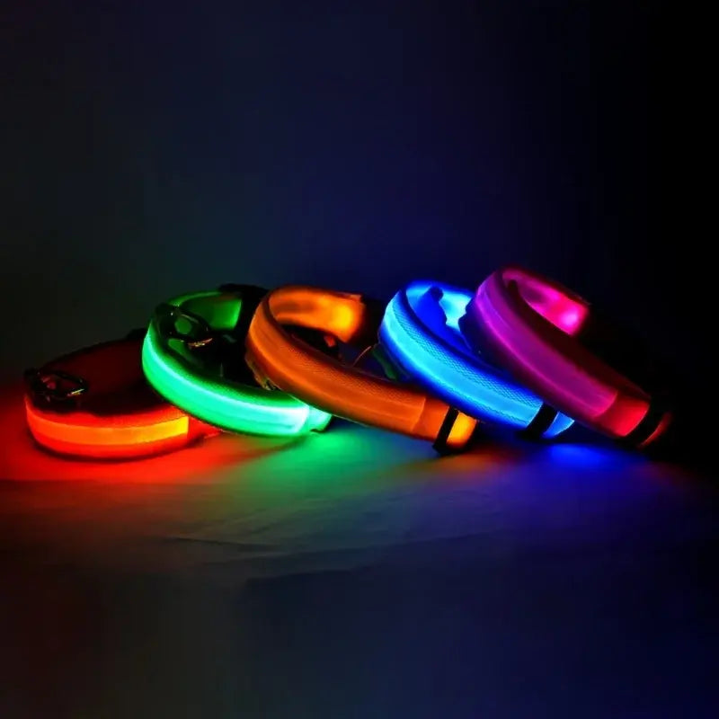 LED Glowing Safety Dog Collar - USB Rechargeable