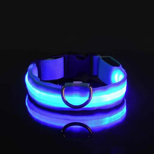 LED Glowing Safety Dog Collar - USB Rechargeable