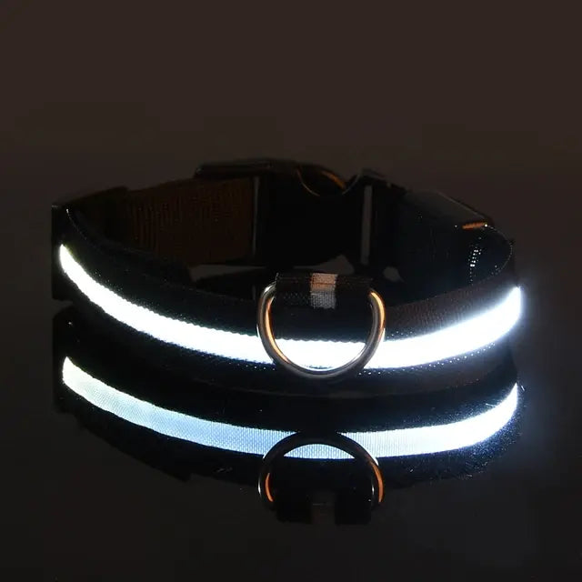 LED Glowing Safety Dog Collar - USB Rechargeable