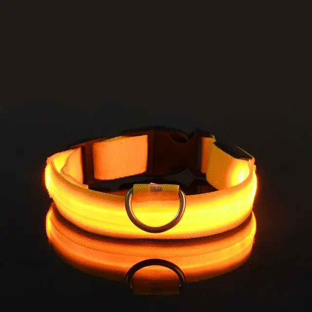 LED Glowing Safety Dog Collar - USB Rechargeable