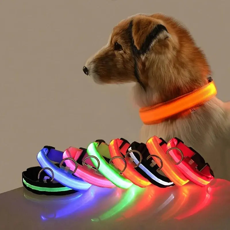 LED Glowing Safety Dog Collar - USB Rechargeable