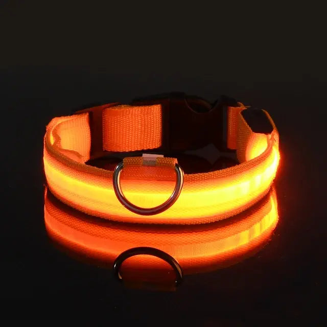 LED Glowing Safety Dog Collar - USB Rechargeable