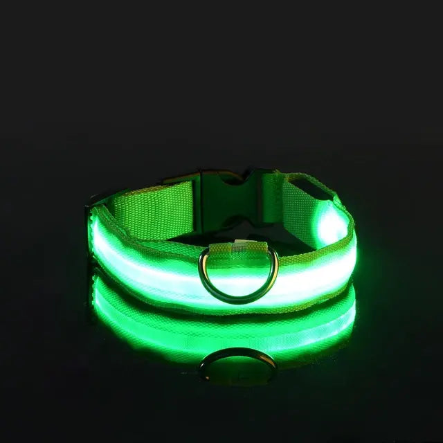 LED Glowing Safety Dog Collar - USB Rechargeable